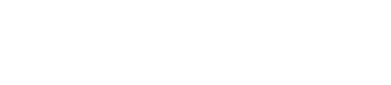 Förderverein der Freiwilligen Feuerwehr Schleswig
